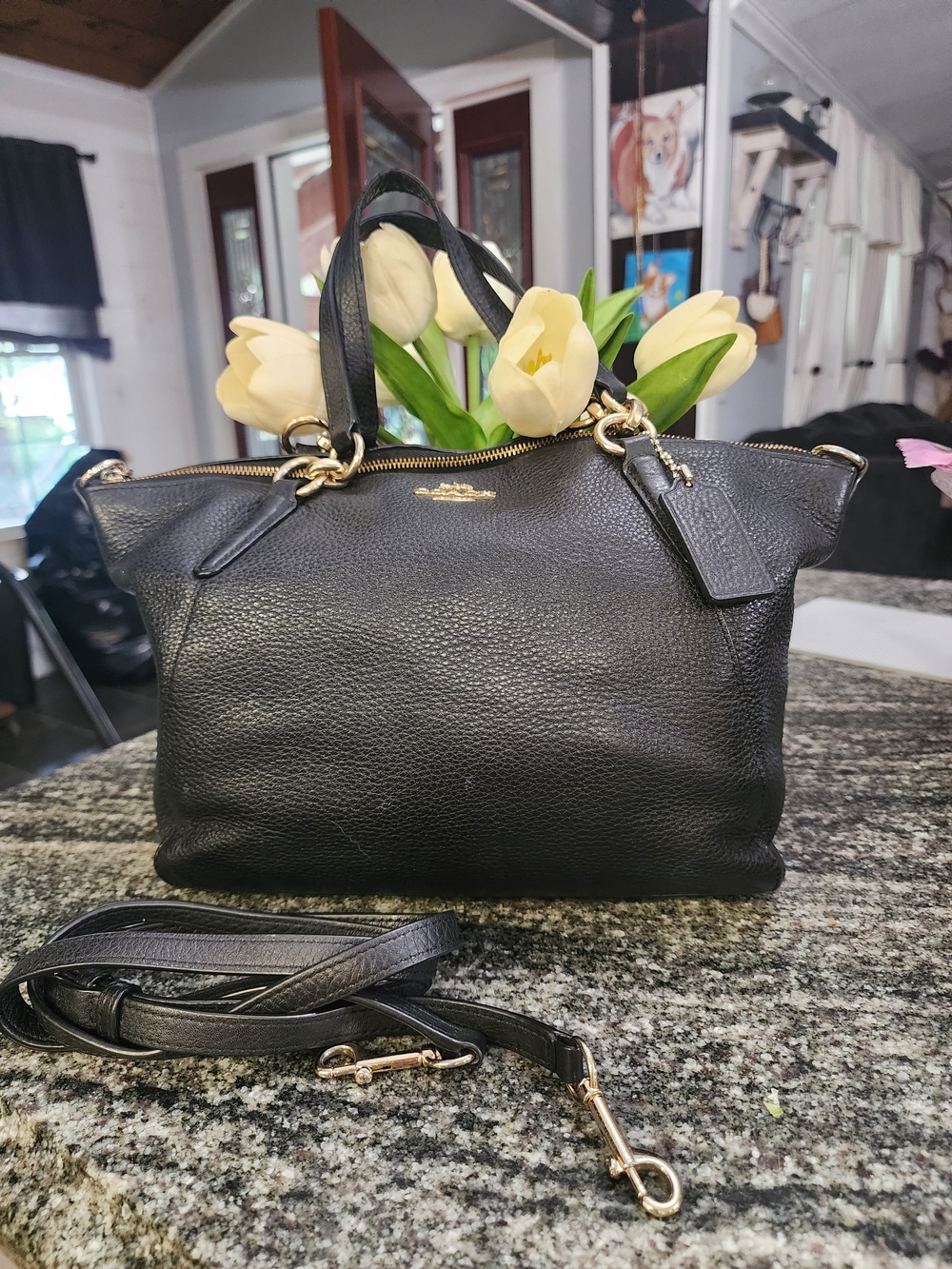 Coach Small Kelsey Pebbled Leather Satchel with Removable Strap-M1748-F26917
